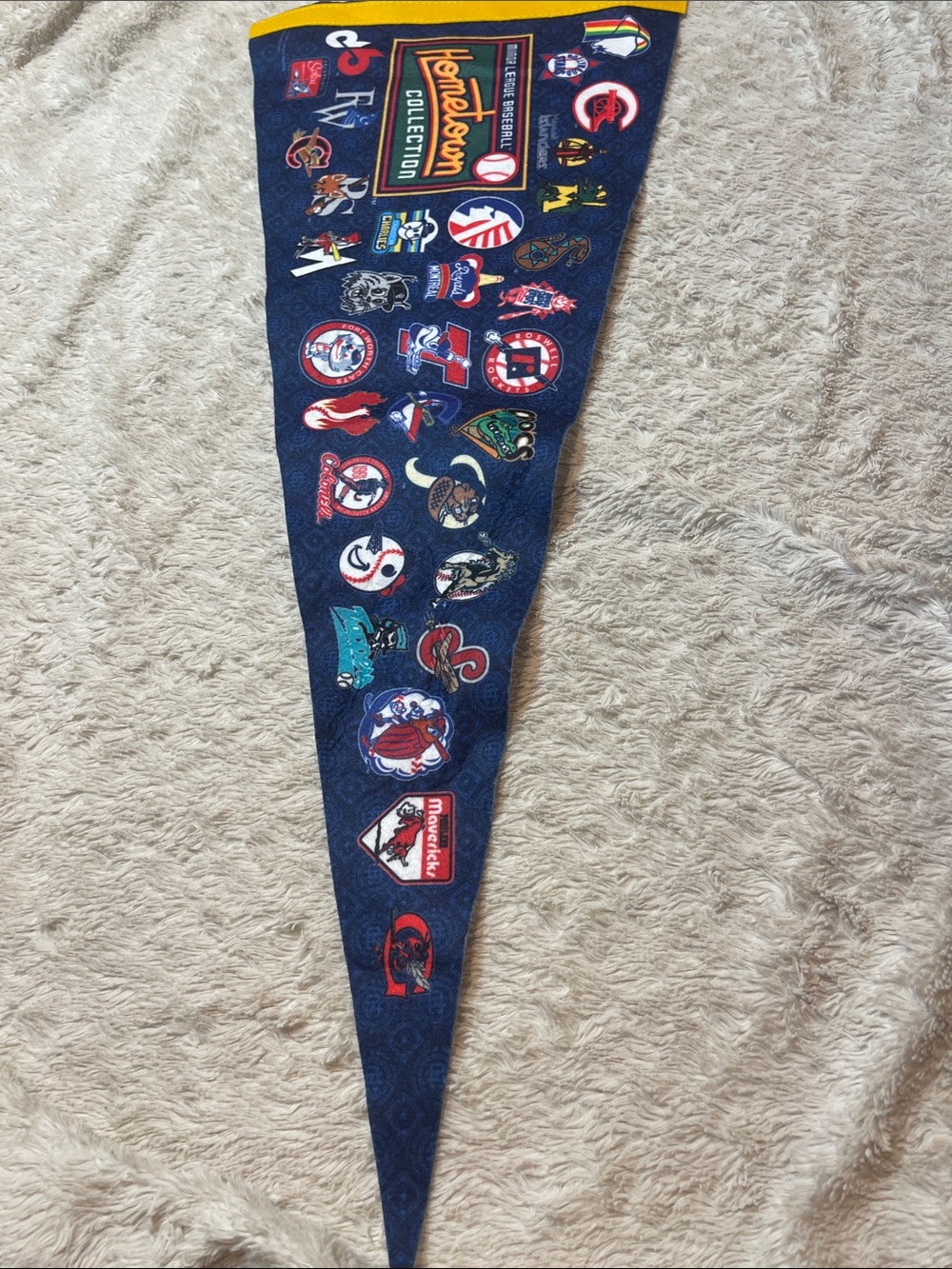 Minor league baseball Hometown collection penant